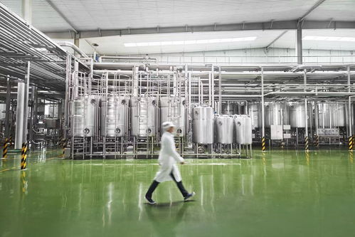 走進新乳業(yè)智能工廠 低溫業(yè)務(wù)雙位數(shù)引領(lǐng)增長，生物芯與數(shù)智化雙輪驅(qū)動企業(yè)管理創(chuàng)新