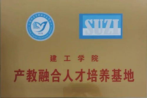 產(chǎn)教融合園合作企業(yè)簡介 江蘇蘇咨工程咨詢有限責(zé)任公司與企業(yè)管理咨詢