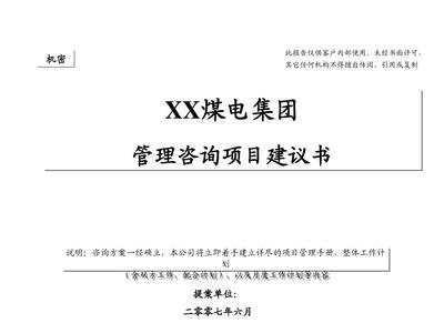 XX戰(zhàn)略建議書 企業(yè)管理咨詢的關(guān)鍵路徑與實施指南