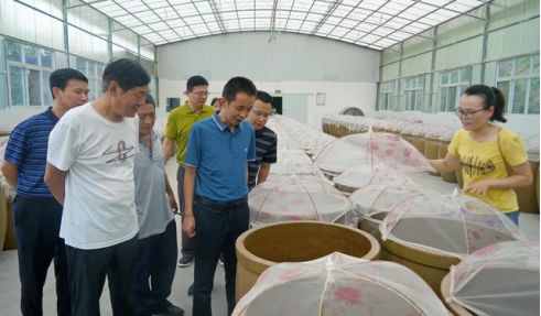 旺蒼縣大學生創新創業服務中心被授予 省級創業孵化基地