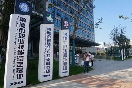 夢想正青春,創業路上,你不孤單