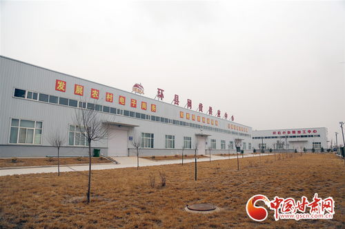 環縣 搶抓機遇 六統一 電商發展模式俏走全國