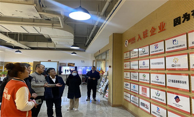 省級創(chuàng)業(yè)孵化示范基地評審組來丹考評創(chuàng)業(yè)孵化基地