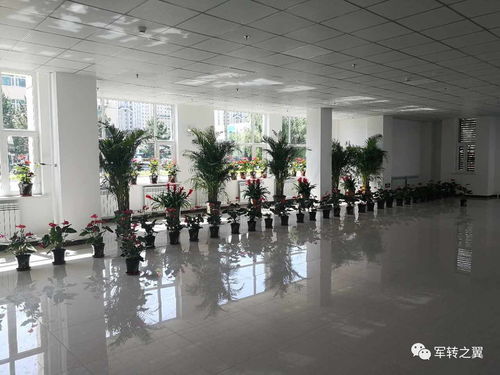 這個(gè)軍報(bào)頭條宣傳過的軍創(chuàng)孵化基地要遷址揭牌啦