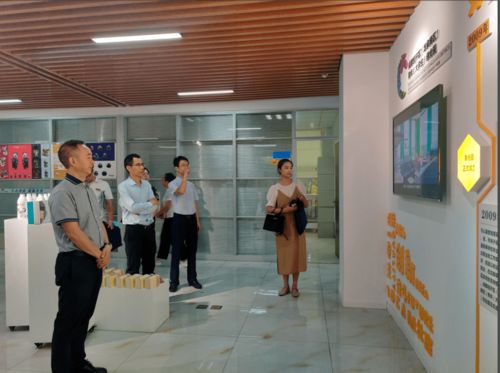四川省省級創業孵化基地考察組赴成都經開區 龍泉驛區 青年 大學生 創業園開展考察工作